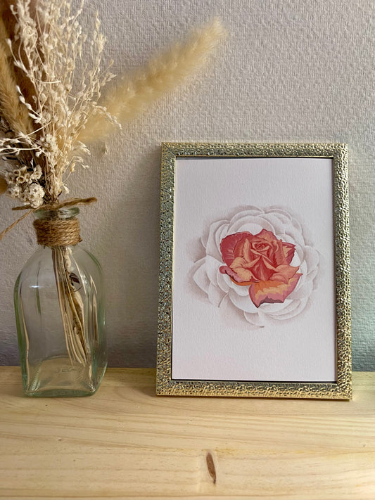 ⭐️ Illustration " Beauté "