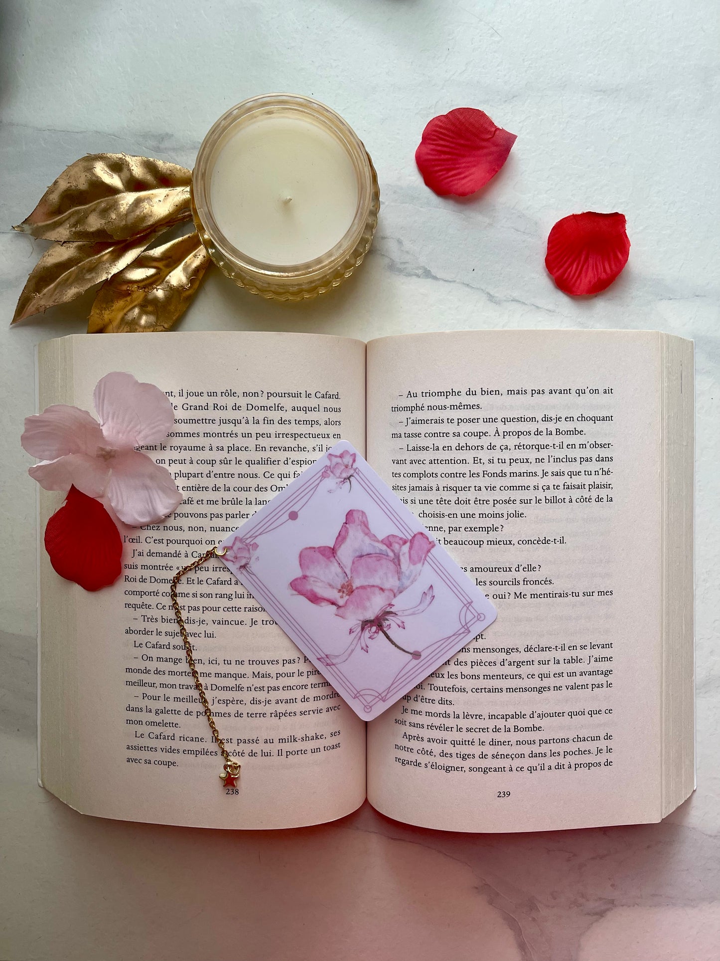 ⭐️ Marque page " La danseuse rosée "