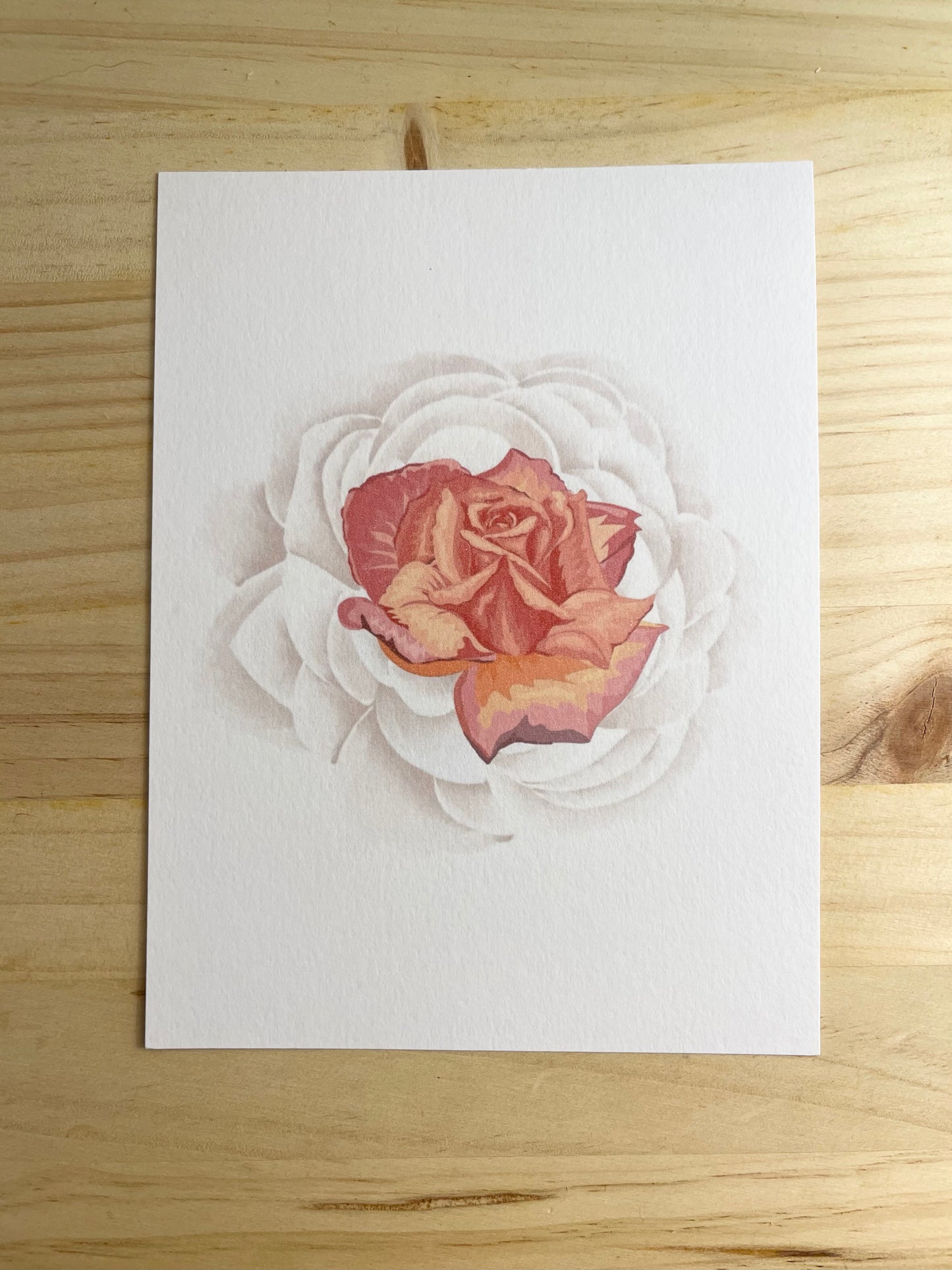 ⭐️ Illustration " Beauté "